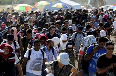 migracionnyy krizis v evrope
