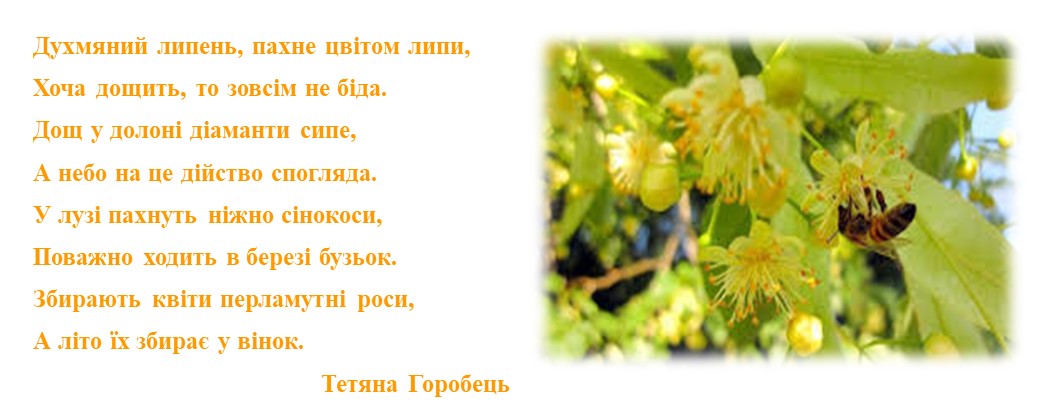грозовик cr